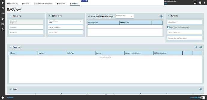 Data View designer for a placeholder view with Server Schema ERP and no BAQ Id, and no columns defined