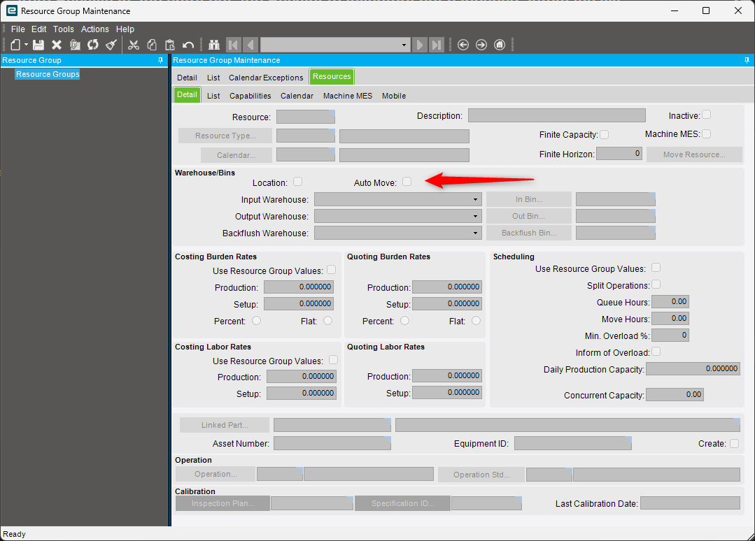 Resource Group Maintenance resource detail showing Auto Move and the Input, Output and Backflush warehouse fields
